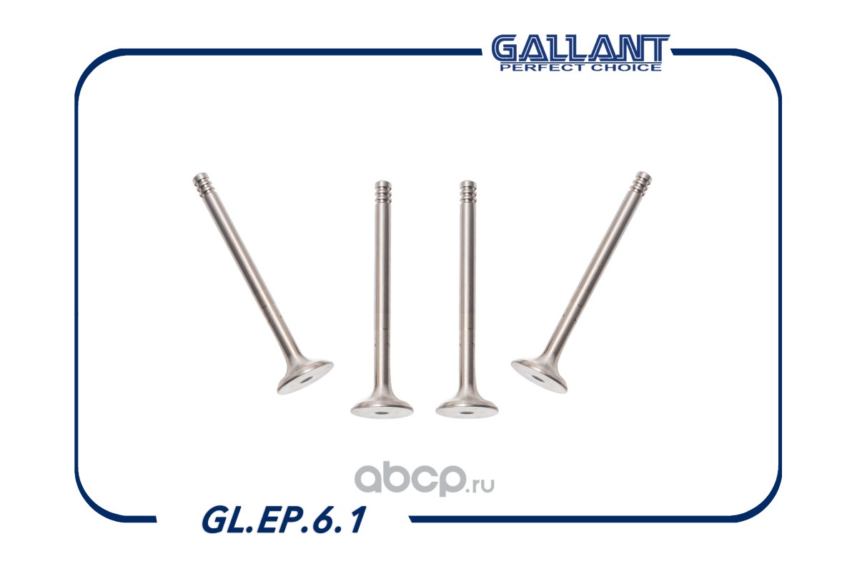 Gallant GLEP61