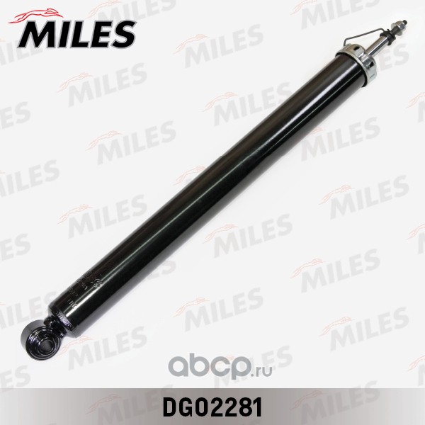 Miles DG02281