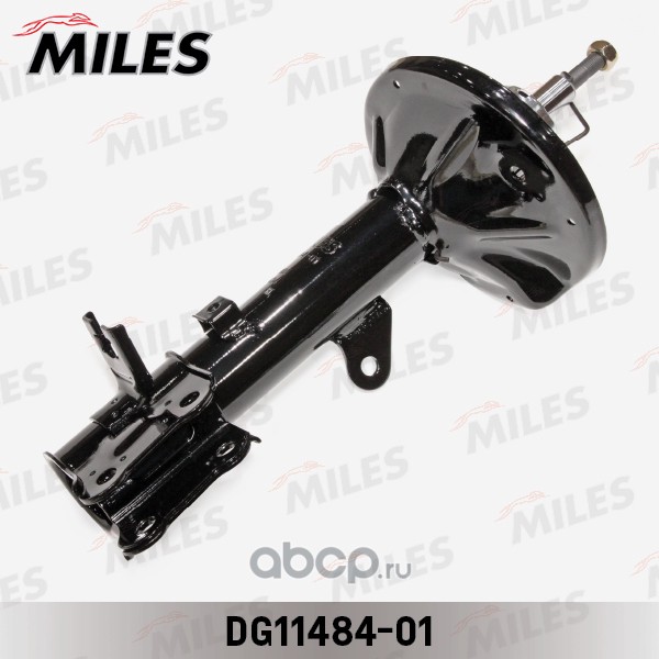 Miles DG1148401