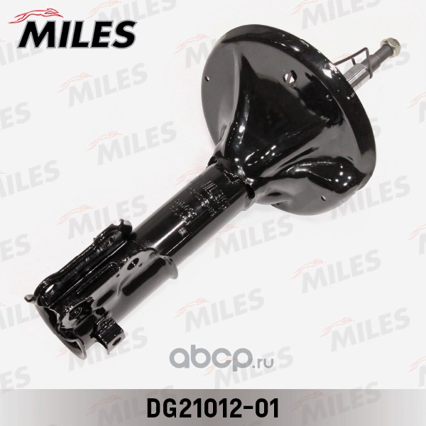 Miles DG2101201