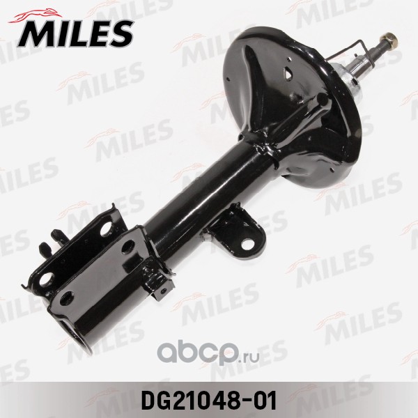 Miles DG2104801