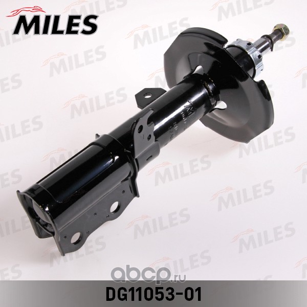 Miles DG1105301