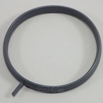 NISSAN 161751HC5A Уплотнительное кольцо впускного коллектора