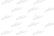PATRON HS109001 Сетка топливного насоса
